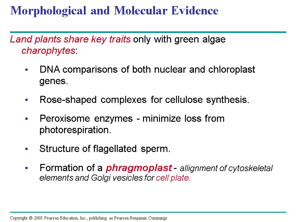 Morphological and Molecular Evidence Land plants share key traits only with green algae charophytes: